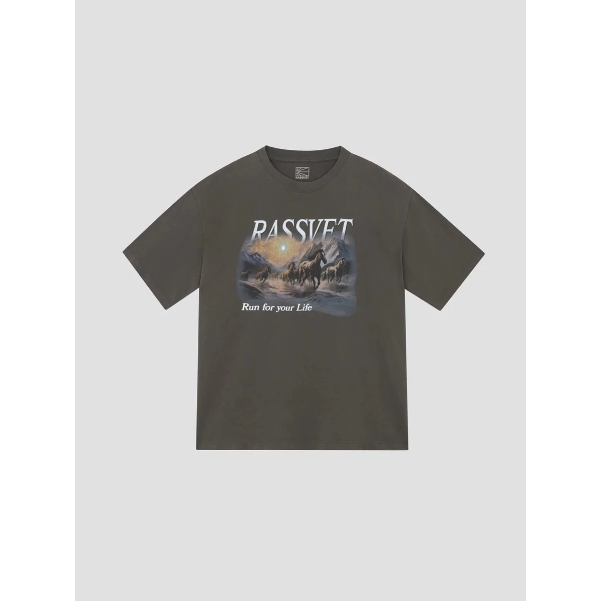 Horses Tee Shirt Knit