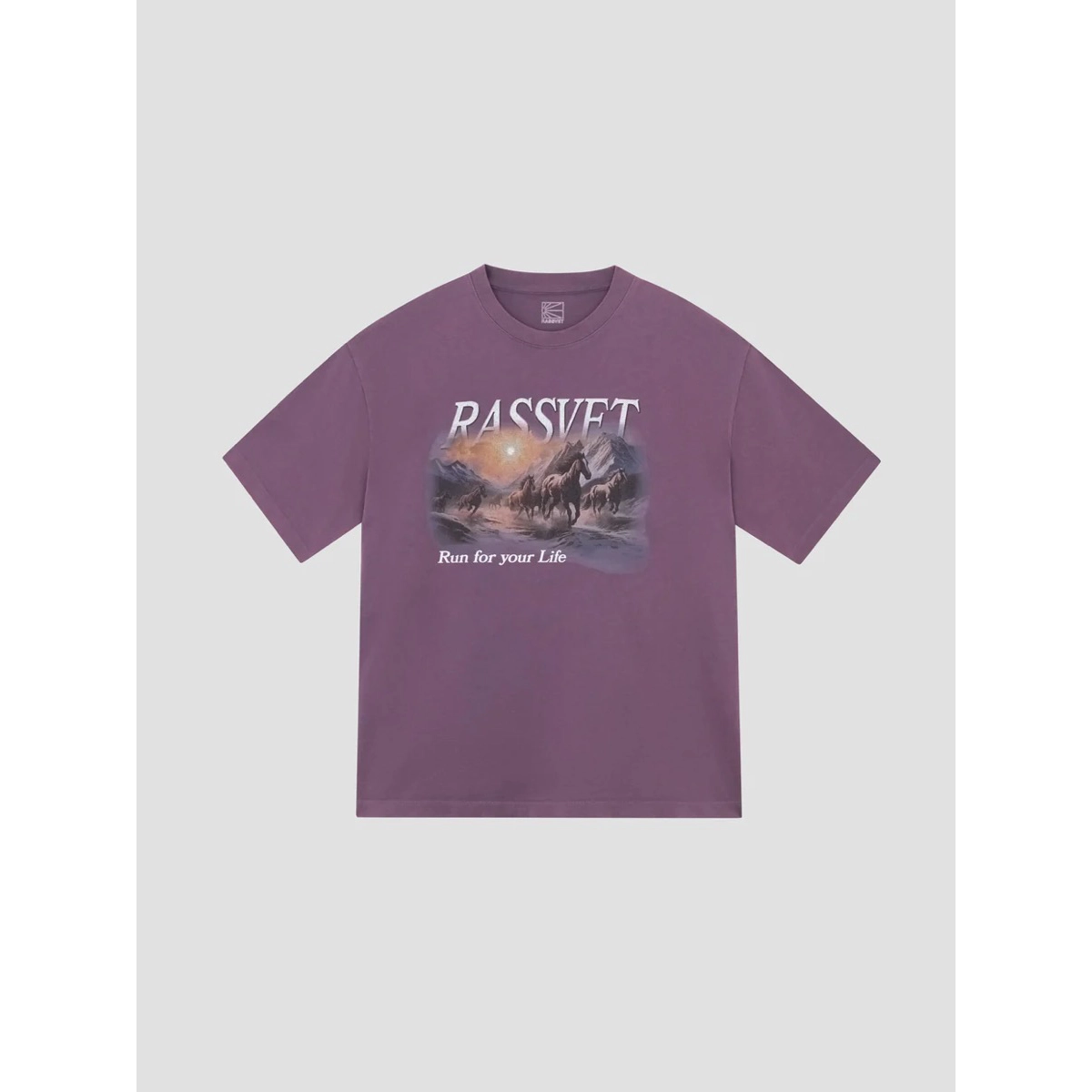 Horses Tee Shirt Knit