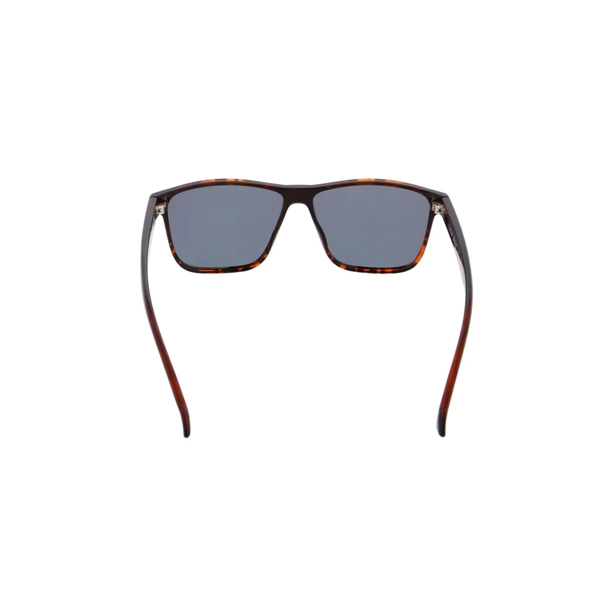 Casey-rx-002p Casey-rx-002p