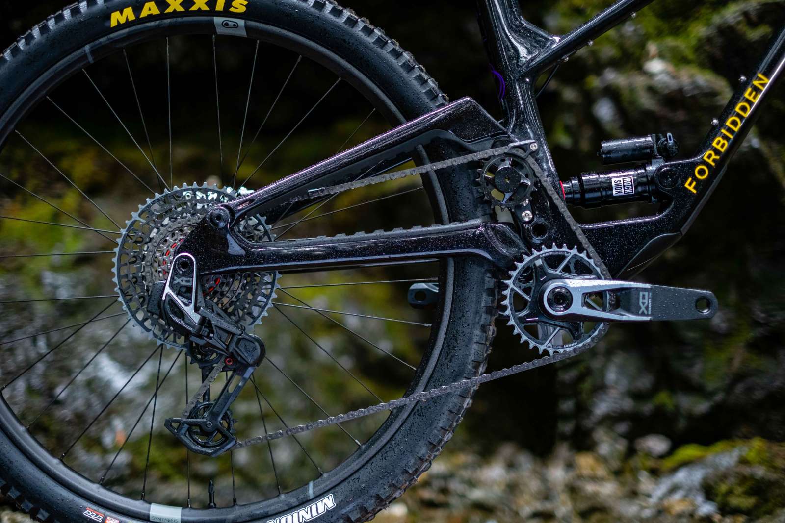 2023-Forrbidden-Druid-V2-Liam-Wallace-LOW-RES-5127_800x800@2x