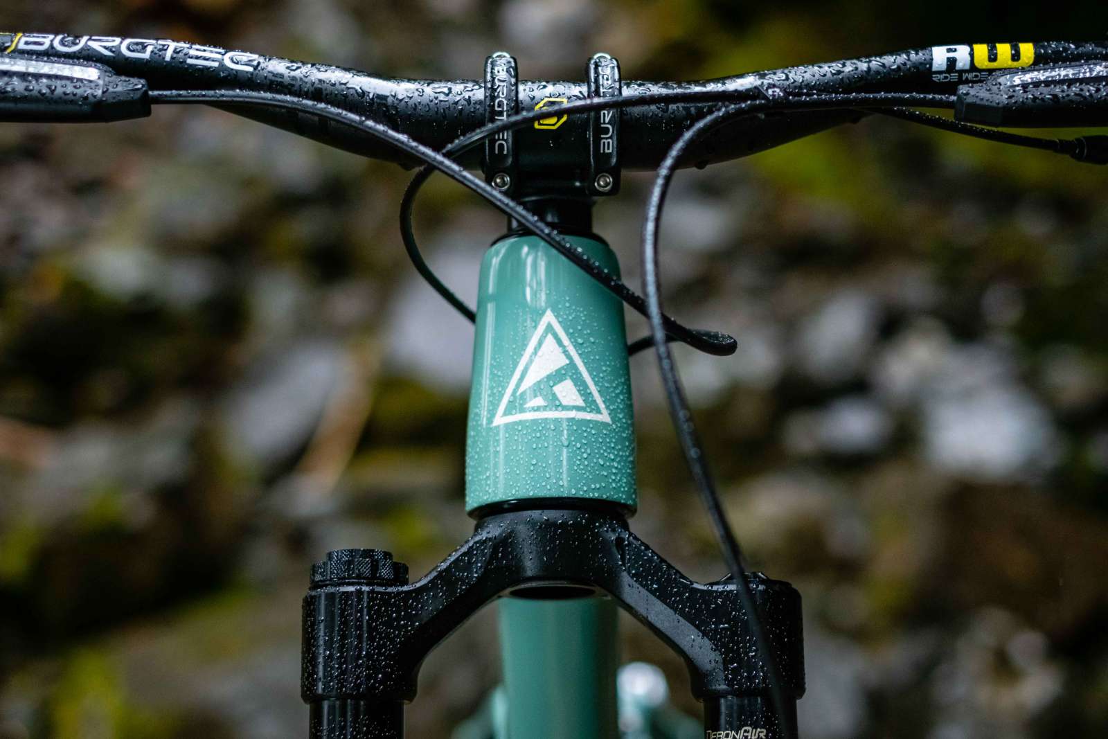 2023-Forrbidden-Druid-V2-Liam-Wallace-LOW-RES-4984_800x800@2x